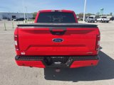 Used 2018 Ford F150 XLT w/ Equipment Group 302A Luxury image 6
