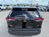 Used 2023 Toyota RAV4 XLE image 4