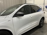Used 2024 Ford Escape ST-Line w/ Tech Pack #1 image 5