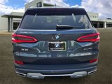 Used 2019 BMW X5 xDrive40i w/ Executive Package image 6