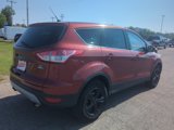 Used 2014 Ford Escape SE image 5