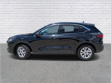 Used 2024 Ford Escape Active image 2