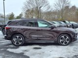 Used 2023 Ford Escape ST-Line Elite w/ Premium Technology Package image 4
