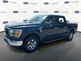 Certified 2021 Ford F150 XLT w/ Equipment Group 302A High image 2