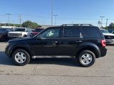 Used 2010 Ford Escape XLT image 5