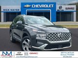 Used 2023 Hyundai Santa Fe SEL w/ Premium Package image 1