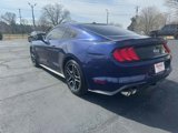 Used 2019 Ford Mustang GT w/ Enhanced Security Package image 3