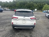 Used 2020 Ford Escape Titanium w/ Titanium Premium Package 2.0 image 6