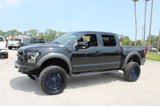 Used 2019 Ford F150 Raptor w/ Equipment Group 802A Luxury image 5