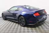 Used 2019 Ford Mustang Premium w/ Equipment Group 201A image 3