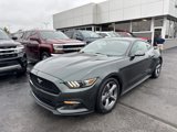 Used 2015 Ford Mustang Coupe w/ Equipment Group 051A image 5