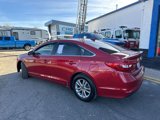 Used 2017 Hyundai Sonata SE image 3