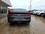 Used 2020 Ford Mustang GT Premium w/ GT Performance Package image 6
