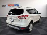 Used 2013 Ford Escape Titanium w/ Parking Technology Pkg image 5