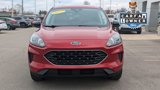 Used 2022 Ford Escape SE w/ SE Sport Appearance Package image 3
