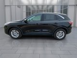 Used 2022 Ford Escape SE image 5
