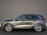 Used 2020 Ford Escape SEL image 4