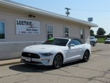 Used 2018 Ford Mustang Premium w/ Equipment Group 201A image 3