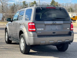 Used 2011 Ford Escape XLT w/ 202A Rapid Spec Order Code image 3