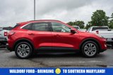 Used 2020 Ford Escape SEL image 3