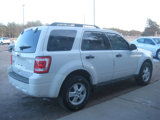 Used 2010 Ford Escape XLT image 3