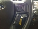 Used 2015 Ford F150 XLT image 6