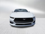 New 2025 Ford Mustang Coupe image 3