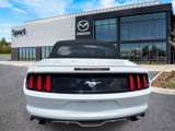 Used 2016 Ford Mustang Premium image 5