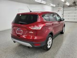 Used 2016 Ford Escape SE w/ SE Cold Weather Package image 4