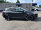 Used 2020 Ford Escape SE image 2