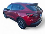 New 2025 Ford Escape ST-Line w/ Tech Pack #1 image 3