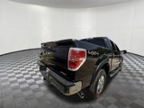 Used 2013 Ford F150 XLT w/ Luxury Equipment Group image 3