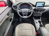 Used 2022 Ford Escape SE w/ Convenience Package image 2