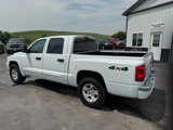 Used 2005 Dodge Dakota SLT image 2