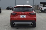 Certified 2024 Ford Escape Active image 5