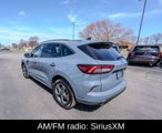 Used 2023 Ford Escape ST-Line image 5