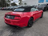 Certified 2023 Ford Mustang Premium image 3