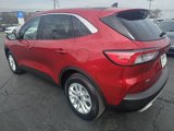 Used 2021 Ford Escape SE w/ Convenience Package image 3