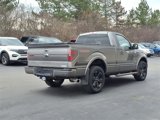 Used 2014 Ford F150 FX4 w/ FX Appearance Package image 6
