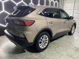 Used 2020 Ford Escape SE image 5