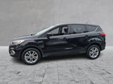 Used 2019 Ford Escape SE image 6