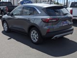 Certified 2024 Ford Escape Active image 4