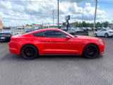 Used 2016 Ford Mustang Coupe w/ Equipment Group 051A image 4
