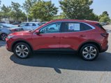 Used 2024 Ford Escape Platinum w/ Premium Technology Package image 5