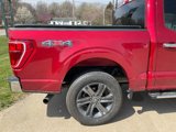 Used 2021 Ford F150 XLT w/ Equipment Group 302A High image 4