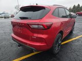New 2024 Ford Escape ST-Line Elite w/ Premium Technology Package image 4