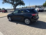 Used 2020 Ford Escape SE image 3