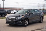 Used 2016 Hyundai Sonata SE w/ Cargo Package image 3