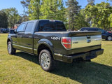 Used 2014 Ford F150 Platinum image 5
