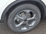 New 2025 Ford Escape ST-Line w/ Tech Pack #1 image 5